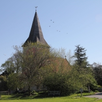 Cambridge Society visit to Bosham