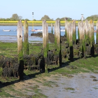 Cambridge Society visit to Bosham