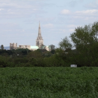 Cambridge Society visit to Bosham