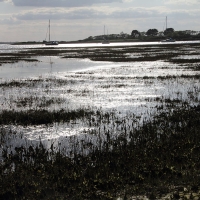 Cambridge Society visit to Bosham