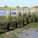 Cambridge Society visit to Bosham