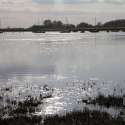 Cambridge Society visit to Bosham