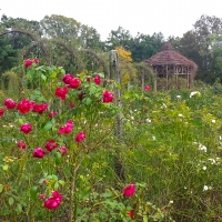 Elizabeth Park, Hartford