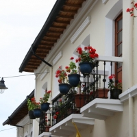 Ecuador, Quito. La Ronda in the historic area.