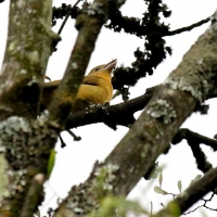 Ecuador, Quito