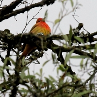 Ecuador, Quito