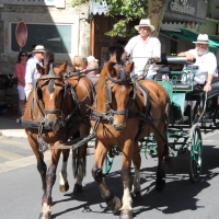 Maussane les Alpilles 2012 - the festival of the old ones