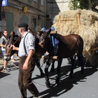 Maussane les Alpilles 2012 - the festival of the old ones