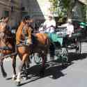 Maussane les Alpilles 2012 - the festival of the old ones