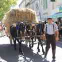 Maussane les Alpilles 2012 - the festival of the old ones