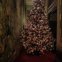 Waddesdon Manor dressed for Christmas 2012