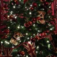 Waddesdon Manor dressed for Christmas 2012