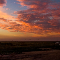 blakeney