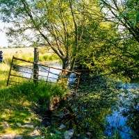 Grendon Underwood / Kingswood ponds