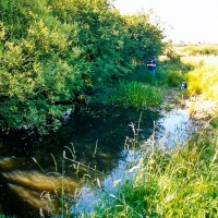 Grendon Underwood / Kingswood ponds