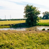 Grendon Underwood / Kingswood ponds