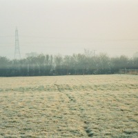 Our Field Pond