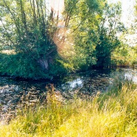 Grendon Underwood / Kingswood ponds