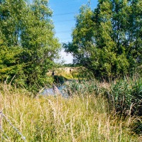 Grendon Underwood / Kingswood ponds