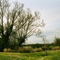 Our Field Pond