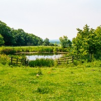 Grendon Underwood / Kingswood ponds