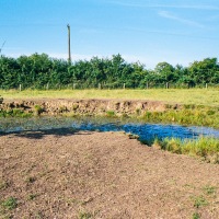 Grendon Underwood / Kingswood ponds