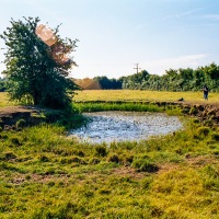 Grendon Underwood / Kingswood ponds