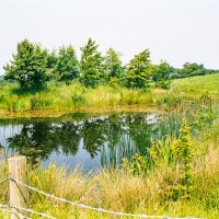 Grendon Underwood / Kingswood ponds