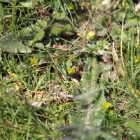 Malverns - 25th May 2013