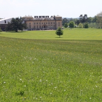 Croome Court - 26th May 2013