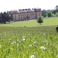 Croome Court - 26th May 2013