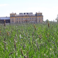 Croome Court - 26th May 2013