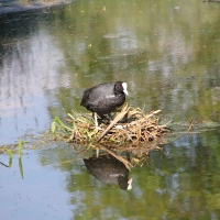 Croome Court - 26th May 2013