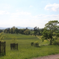 Croome Court - 26th May 2013