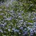 Malverns - 25th May 2013