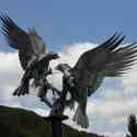 Malverns - 25th May 2013 Buzzards Sculpture: Rosebank Gardens in Malvern