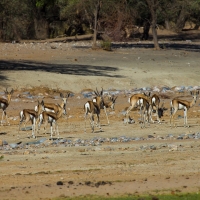 River bed near to Khowarib Camp