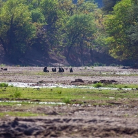 River bed near to Khowarib Camp