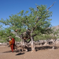 Himba village