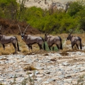 Lower Hoanib River