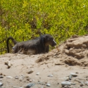 Lower Hoanib River