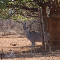 Private game reserve outside Outjo