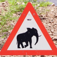 Elephant sign