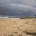 Skeleton coast lone angler