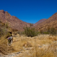 Namibia, Brandberg