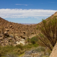 Namibia, Brandberg