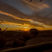 Namibia, Mowani