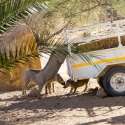 Namibia, Brandberg