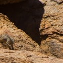 Namibia, Brandberg