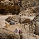 Namibia, Brandberg